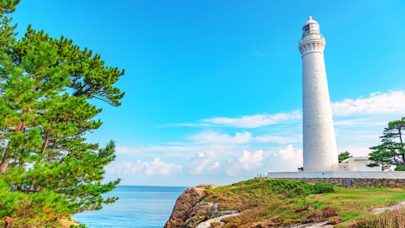 White lighthouse overlooking the sea framed by pines on a bright summer day in Japan